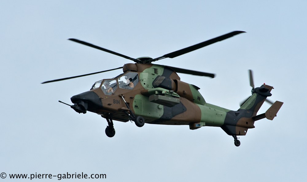 tigre_4150.jpg