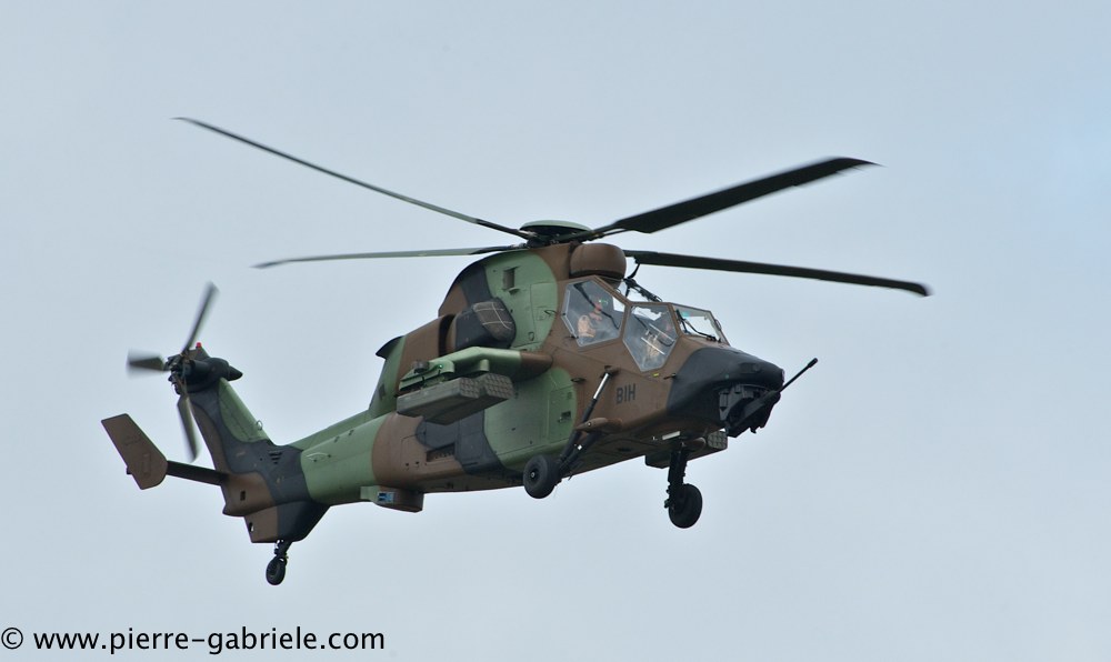 tigre_4152.jpg