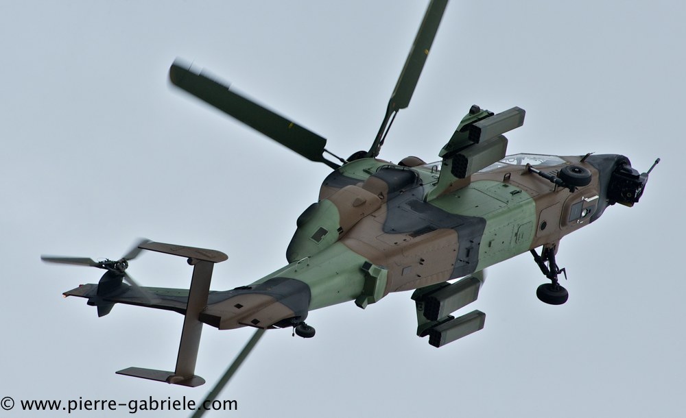 tigre_4153.jpg
