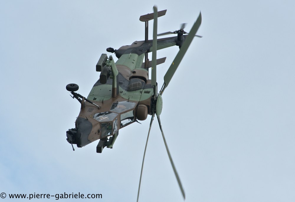 tigre_4155.jpg