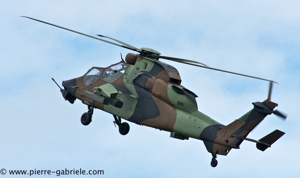 tigre_4158.jpg