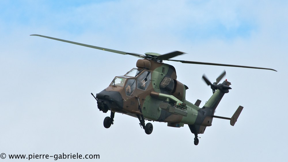 tigre_4160.jpg