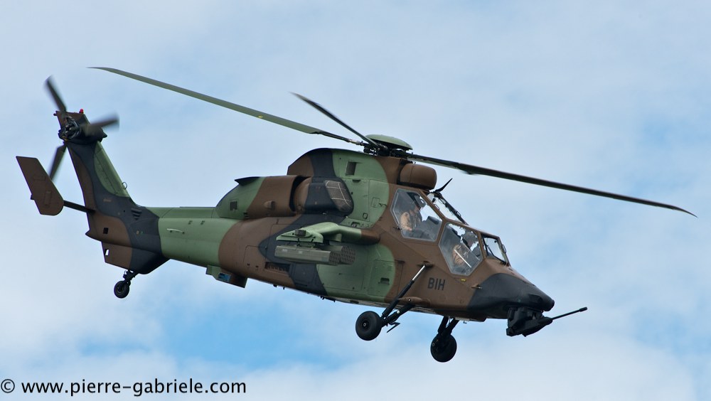 tigre_4162.jpg