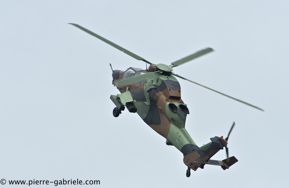 tigre_4164.jpg