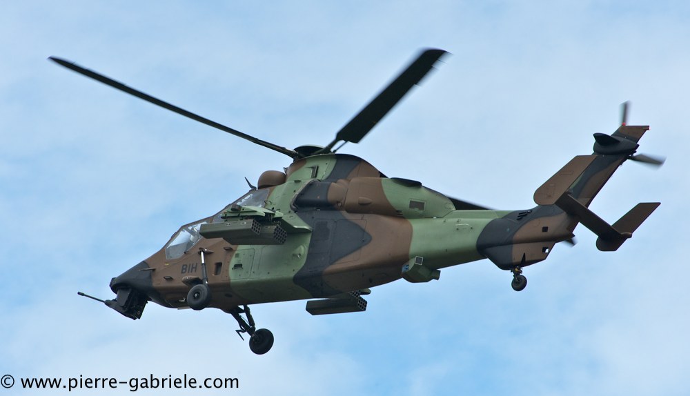 tigre_4166.jpg