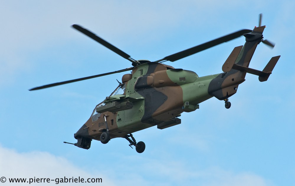 tigre_4168.jpg