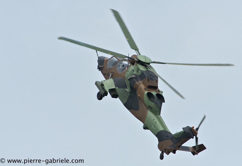 tigre_4171.jpg