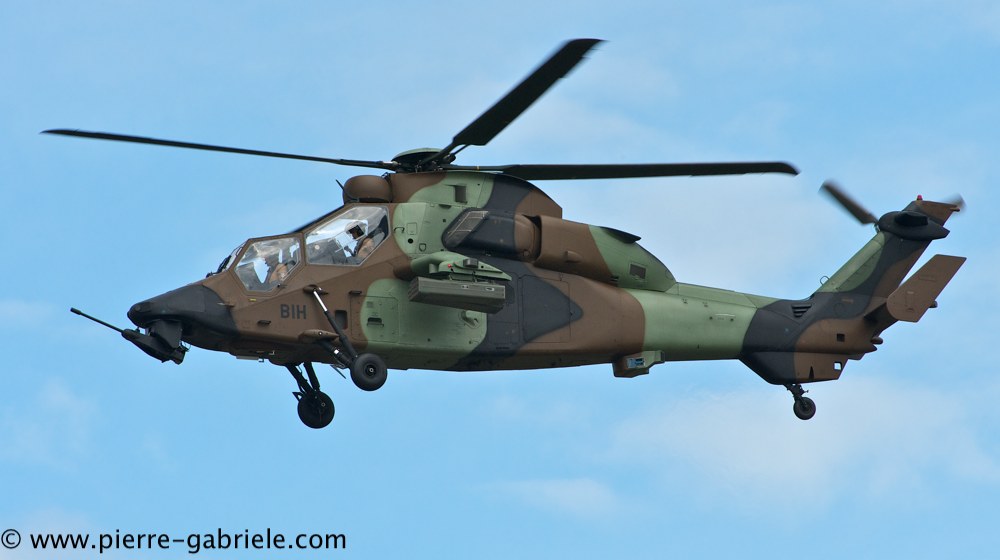 tigre_4176.jpg