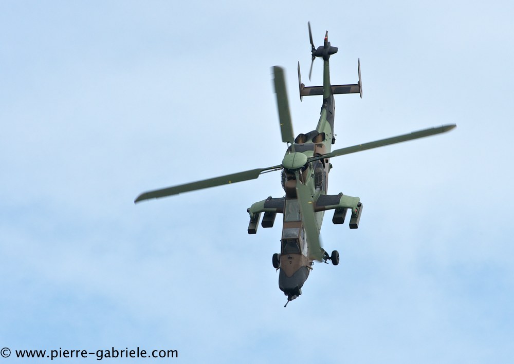 tigre_4179.jpg