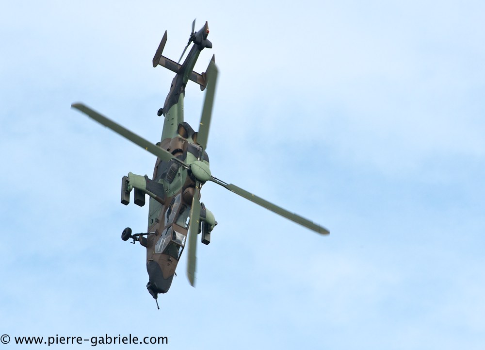tigre_4180.jpg