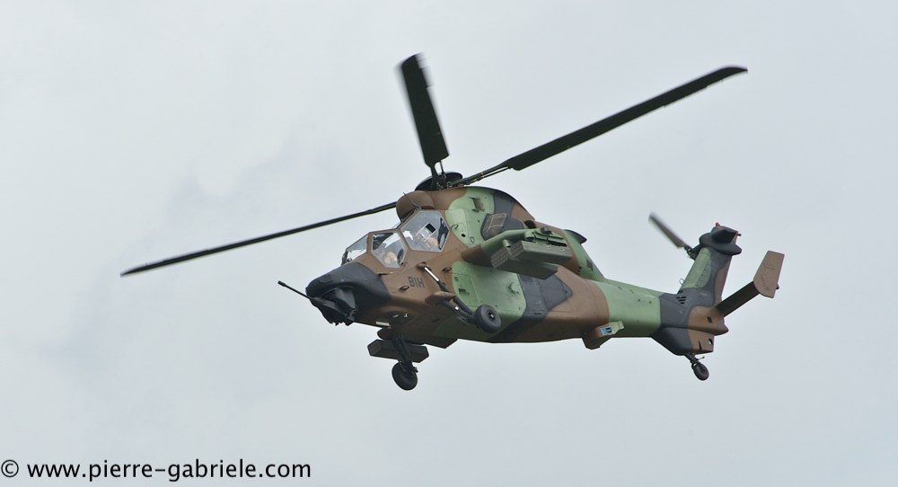 tigre_4181.jpg
