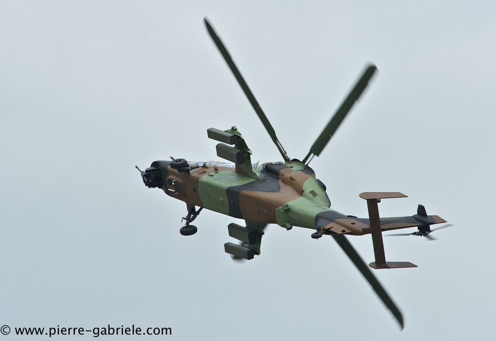 tigre_4182.jpg