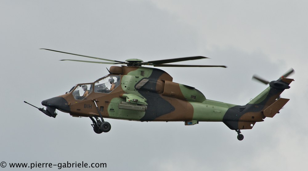 tigre_4426.jpg