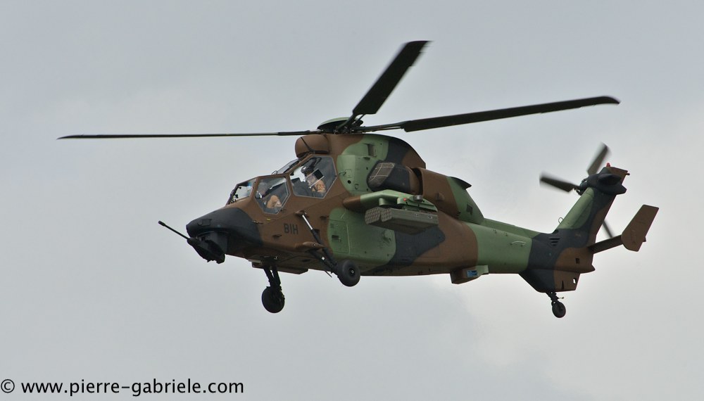 tigre_4427.jpg