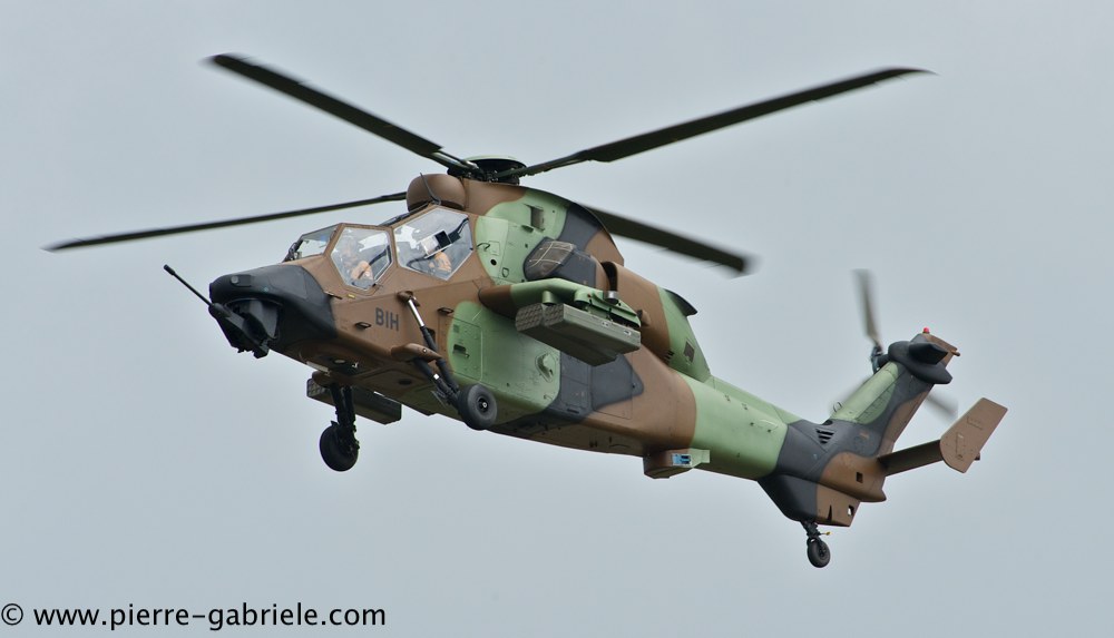 tigre_4435.jpg