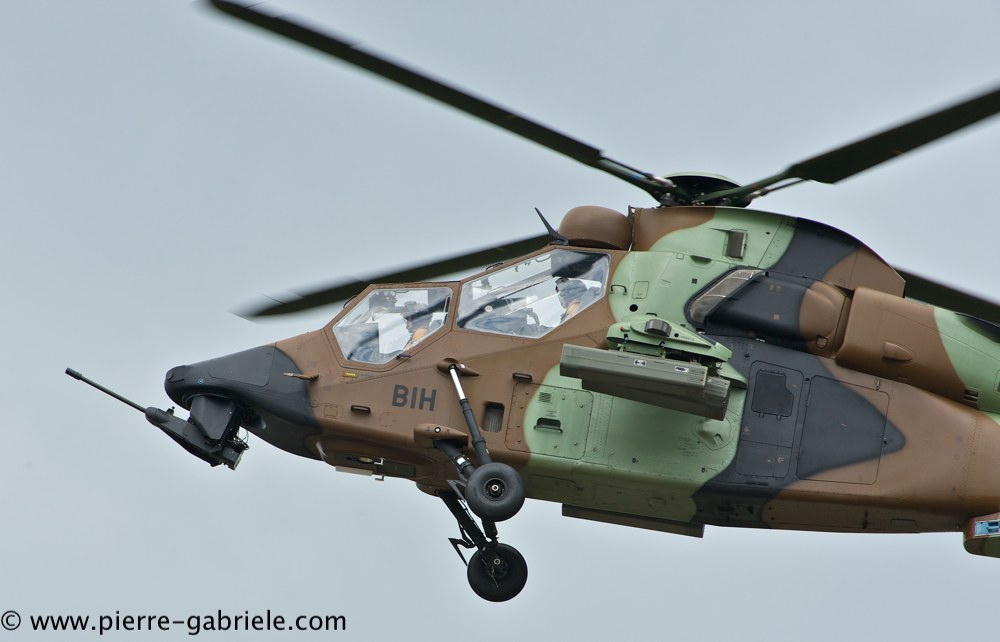 tigre_4436.jpg