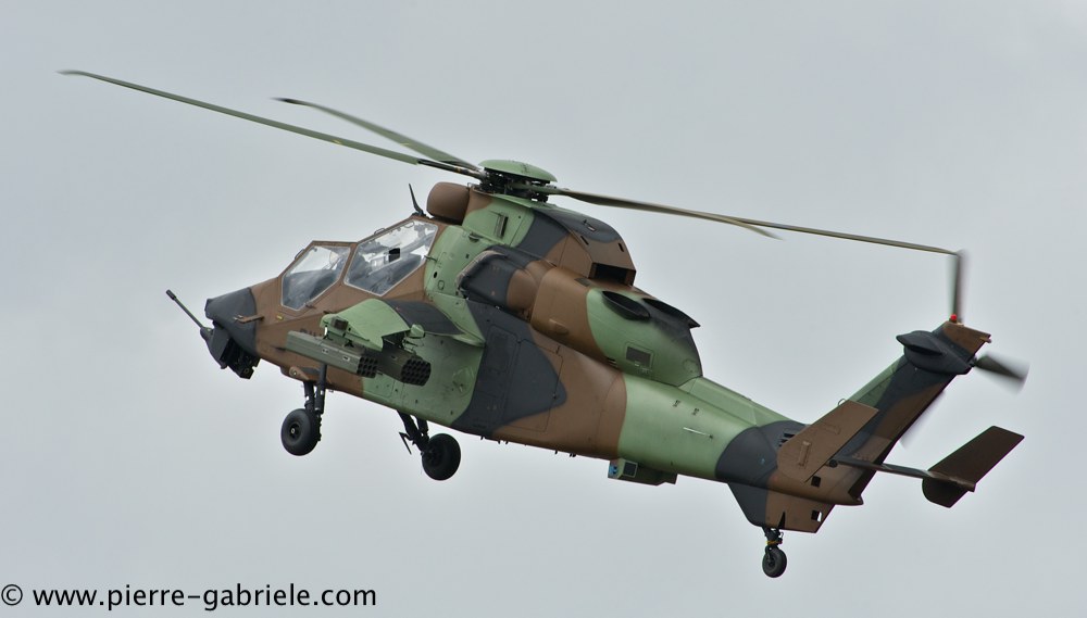 tigre_4437.jpg
