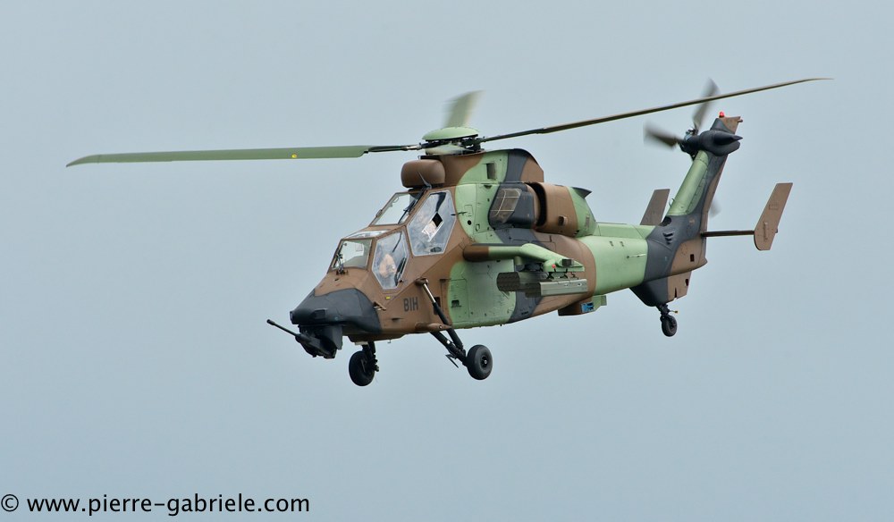 tigre_4444.jpg