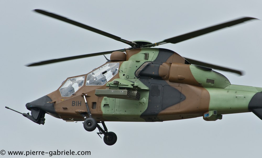 tigre_4445.jpg