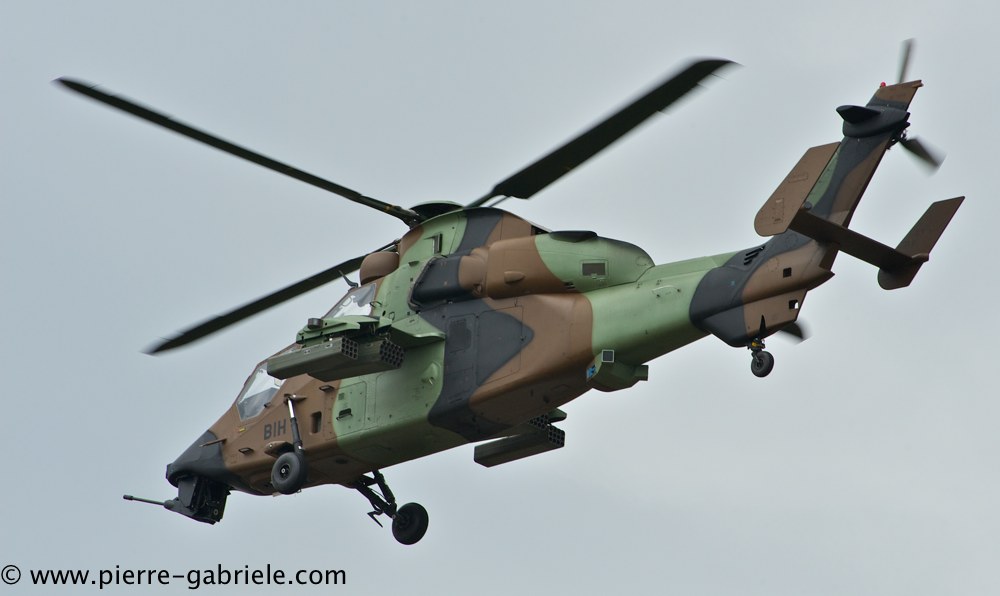 tigre_4448.jpg
