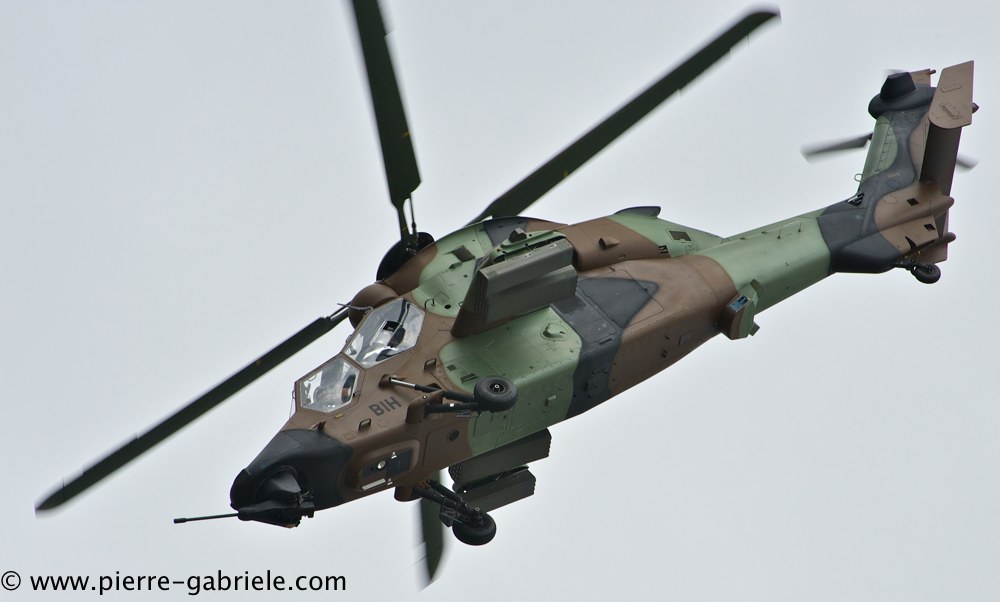 tigre_4449.jpg