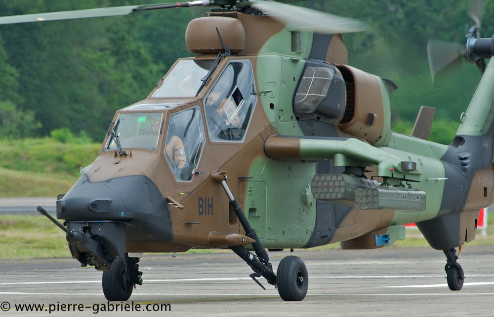 tigre_4452.jpg