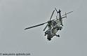 tigre_4156