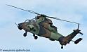 tigre_4158