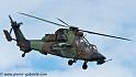 tigre_4162