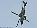 tigre_4173