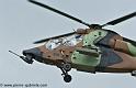 tigre_4436