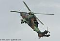 tigre_4438
