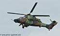 tigre_4439