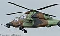 tigre_4445
