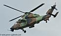 tigre_4448