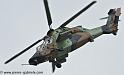 tigre_4449