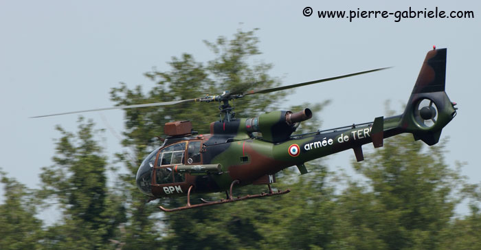 gazelle_7903.jpg
