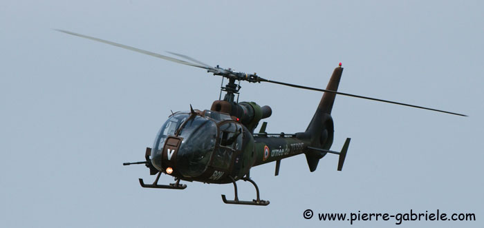 gazelle_8598.jpg