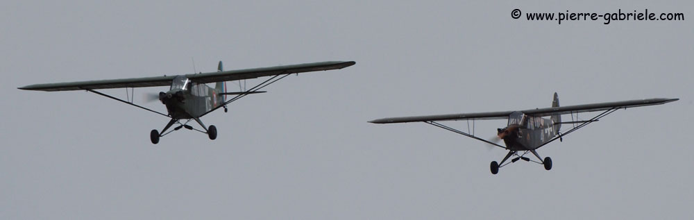 piperl4h_7760.jpg