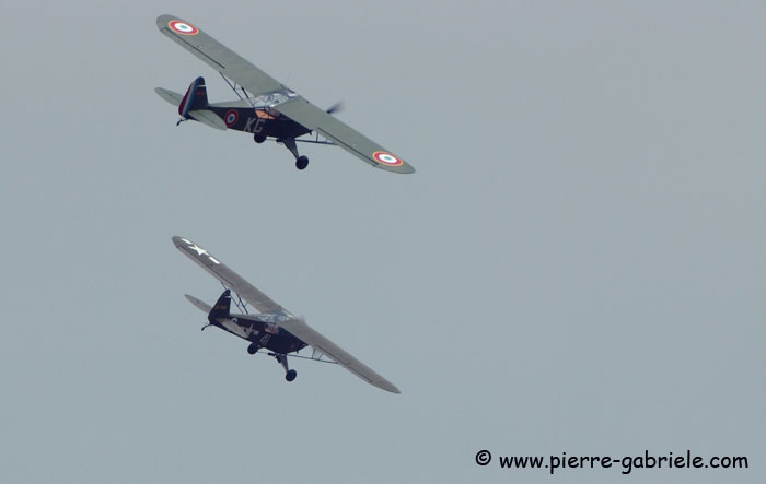 piperl4h_7770.jpg