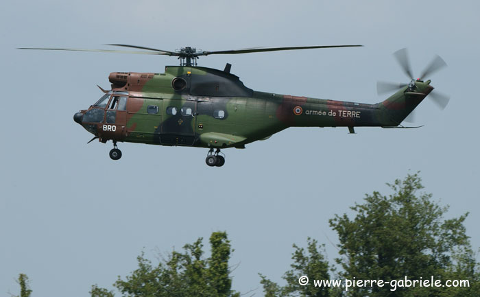 puma_7899.jpg