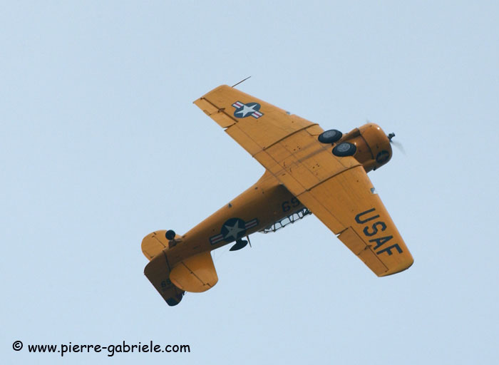 t6_8447.jpg