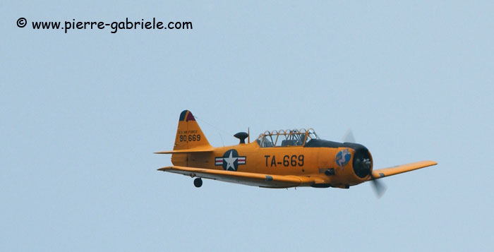 t6_8451.jpg
