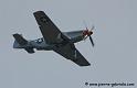 mustang_7827