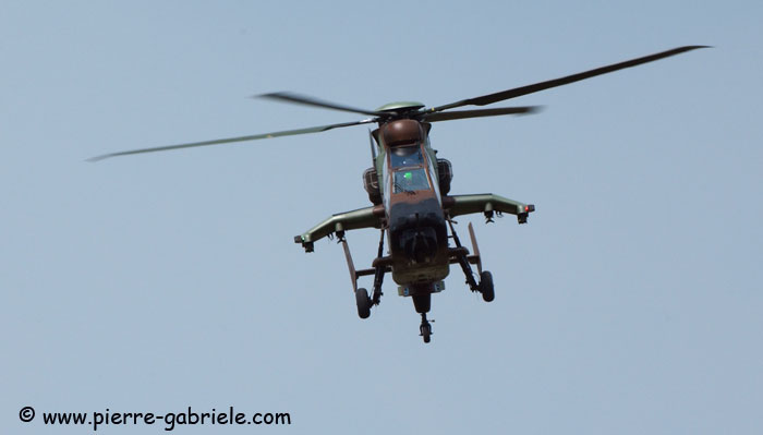 tigre_8085.jpg