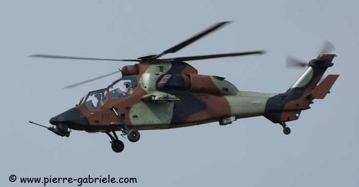 tigre_8087.jpg