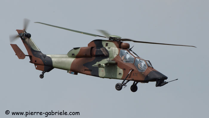 tigre_8088.jpg