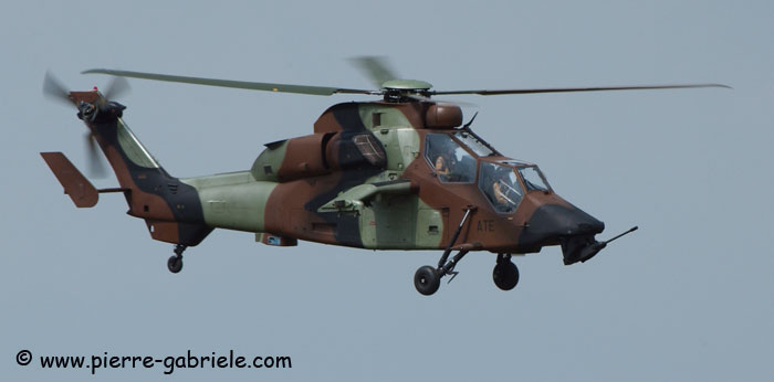 tigre_8089.jpg