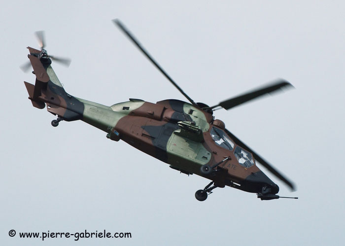 tigre_8132.jpg