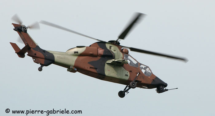 tigre_8133.jpg